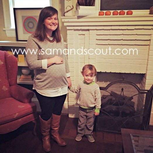 Pregnancy Update (17/18 Weeks) - Teaching Sam and Scout